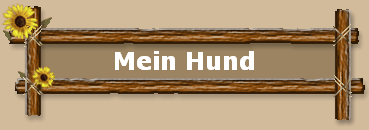Mein Hund